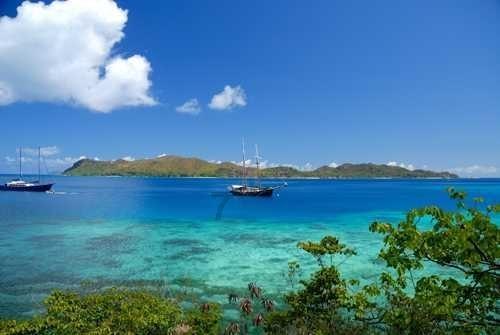 冲洗的近义词。——即时问答,快速解答您的疑问