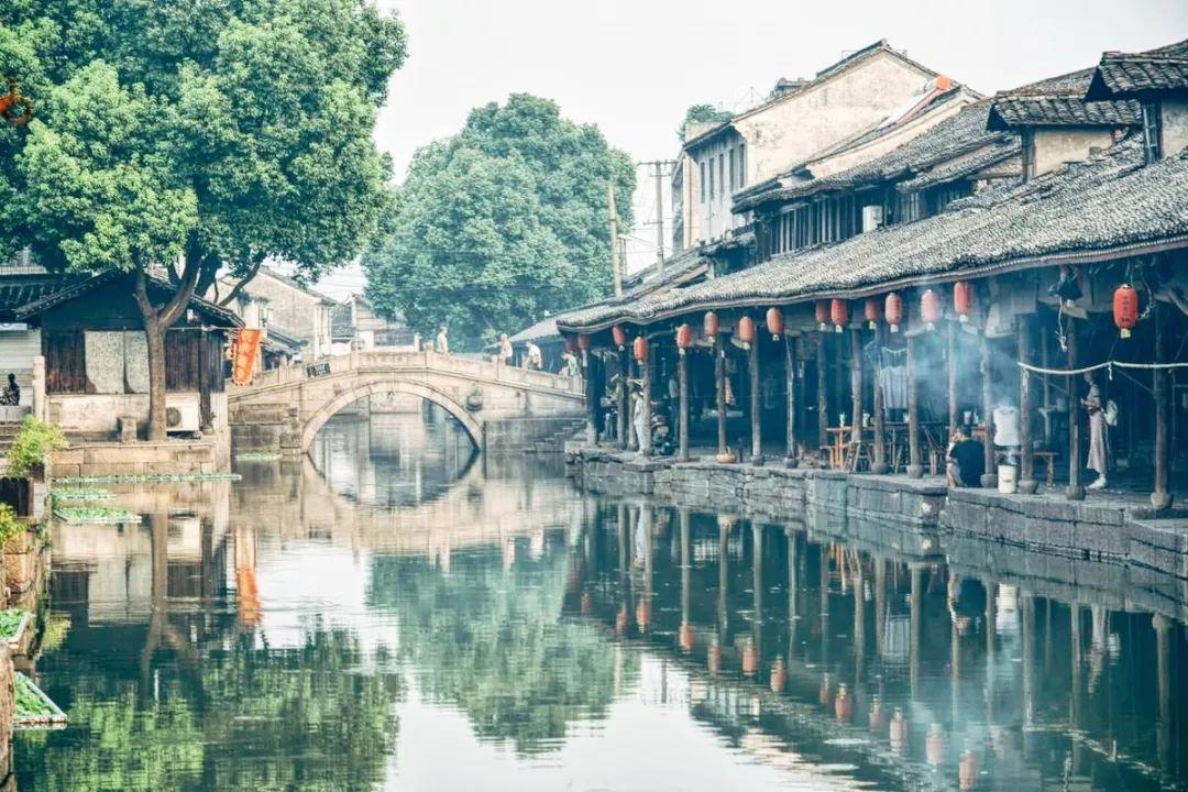 虫虫助手下载